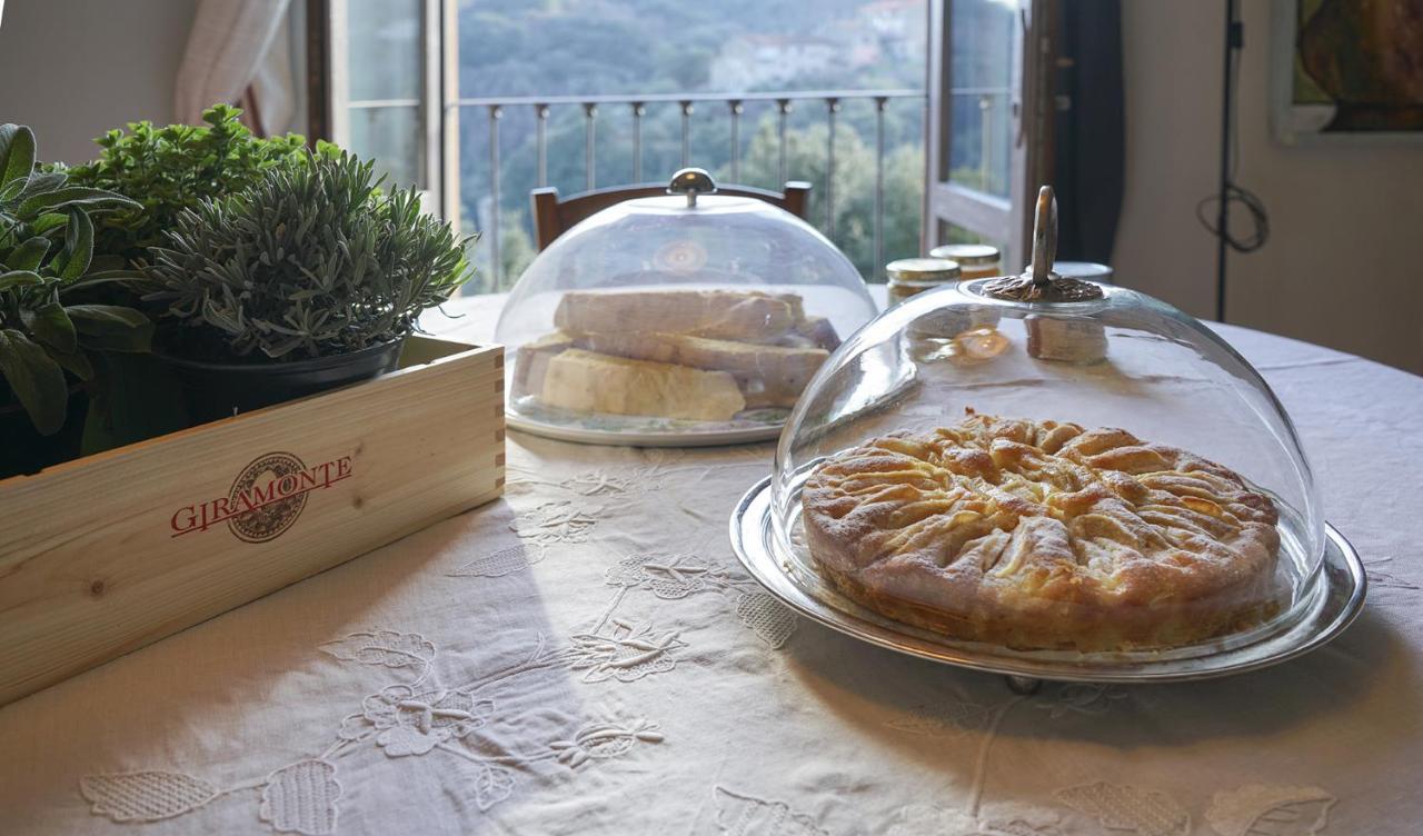 Locanda Degli Alberi Sassetta Extérieur photo