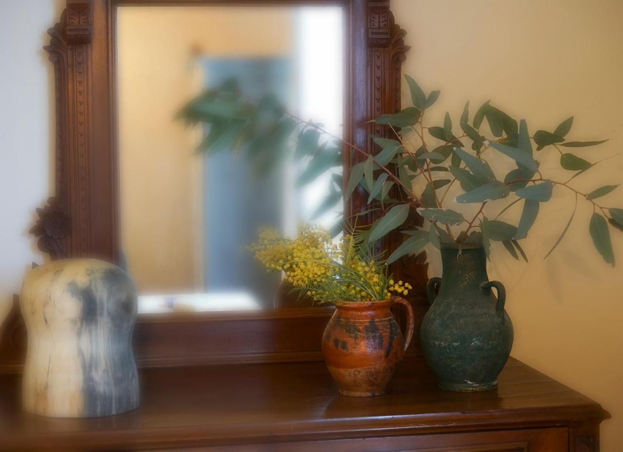 Locanda Degli Alberi Sassetta Extérieur photo