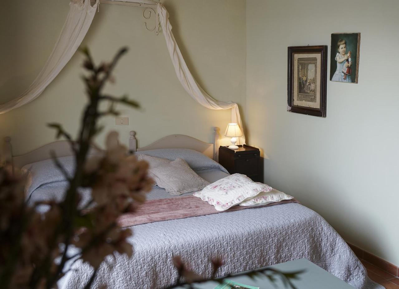 Locanda Degli Alberi Sassetta Extérieur photo